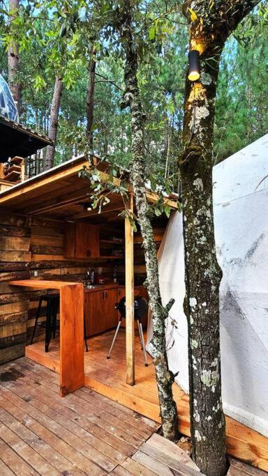 Encanto Natural 2 Масамитла Екстериор снимка