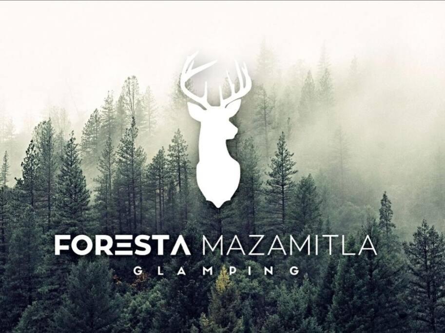 Encanto Natural 2 Масамитла Екстериор снимка